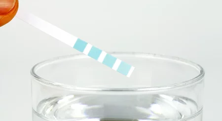 Test der Wasserqualität mit einem Teststreifen