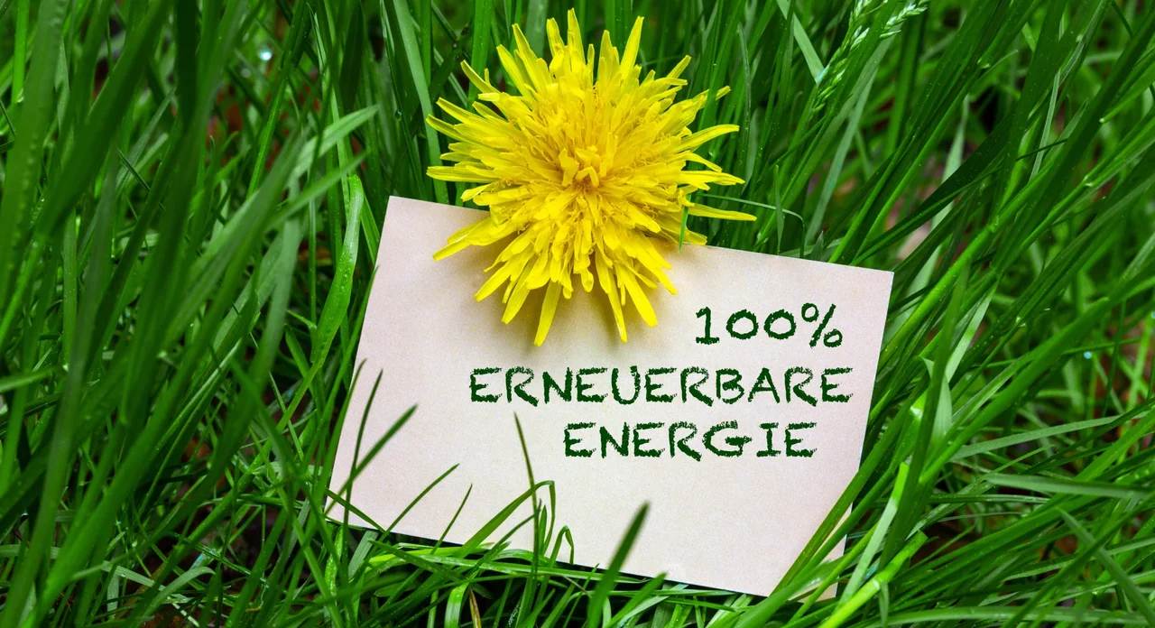 FAQ Ökostrom Zettel mit Aufschrift „100% erneuerbare Energie“ neben Löwenzahn im Gras