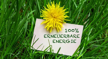 Zettel mit Aufschrift „100% erneuerbare Energie“ neben Löwenzahn im Gras